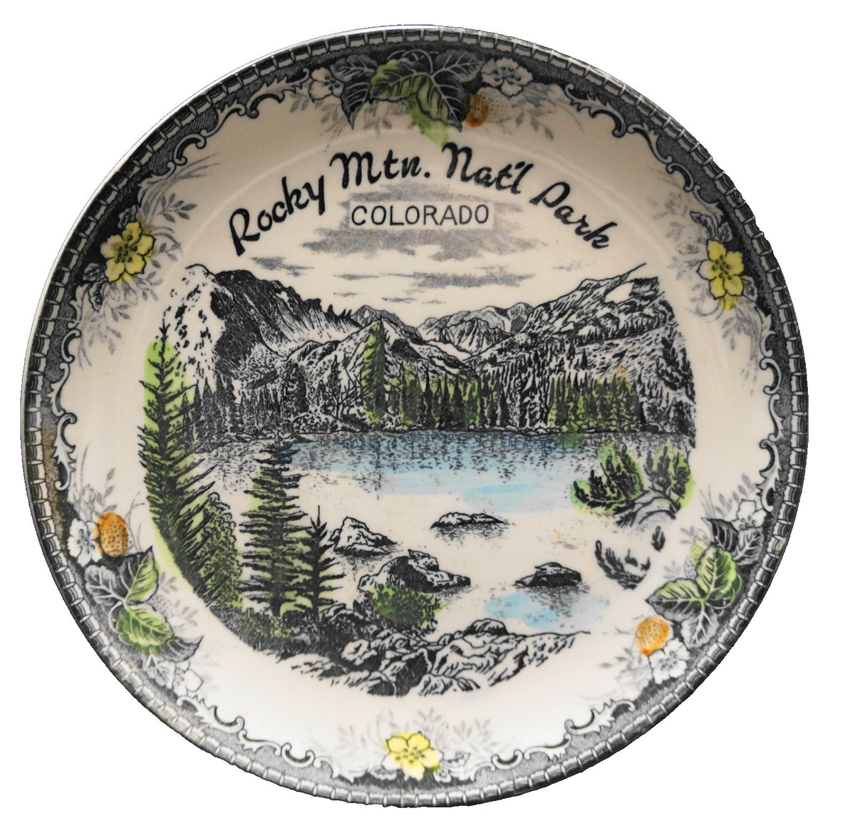 Rocky Mountain National Park Colorado Souvenir Plate Hand Tinted