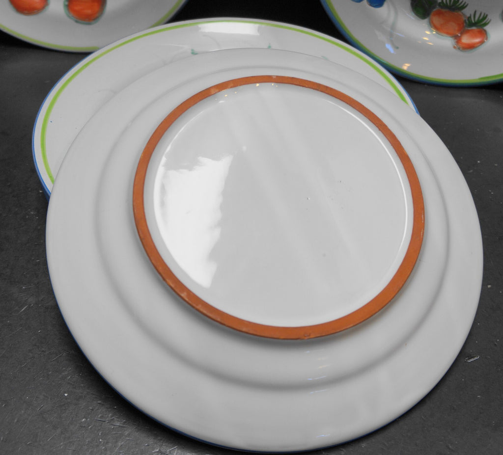 Himark Portugal Hand Painted Fruit Flowers Dinner Plates Terra Cotta