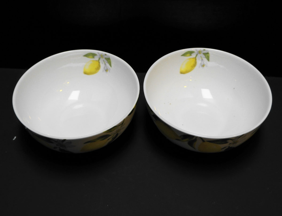 Mikasa Lemons Soup Cereal Bowls Pair
