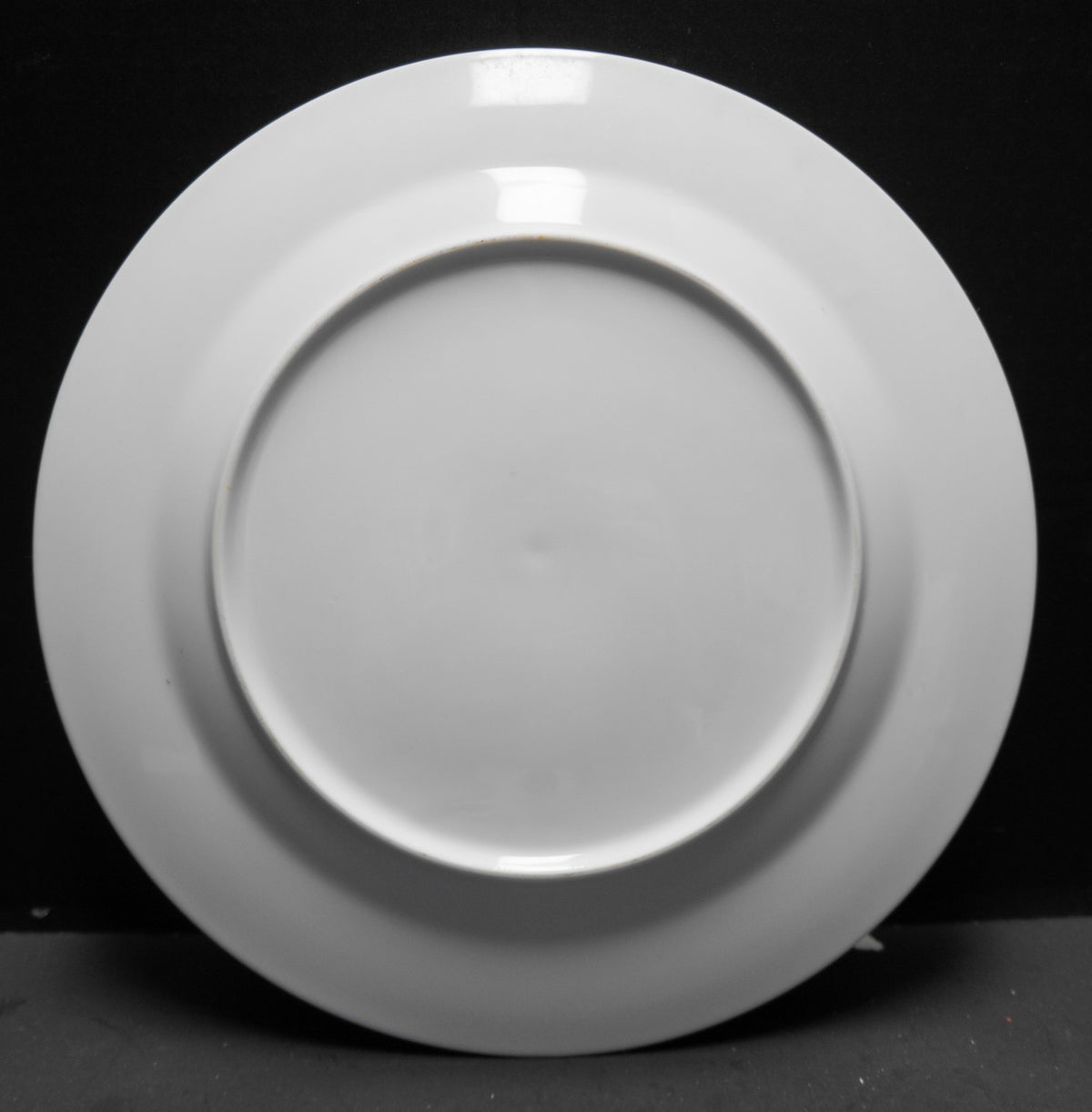 American Atelier Gingham Harvest Dinner Plate 10 1/2 IN