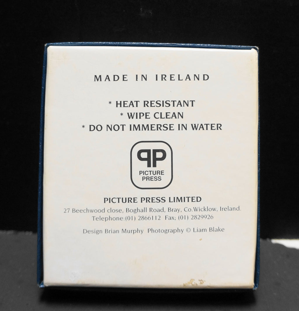 Georgian Doors Coasters Box Set Ireland Picture Press Brian Murphy