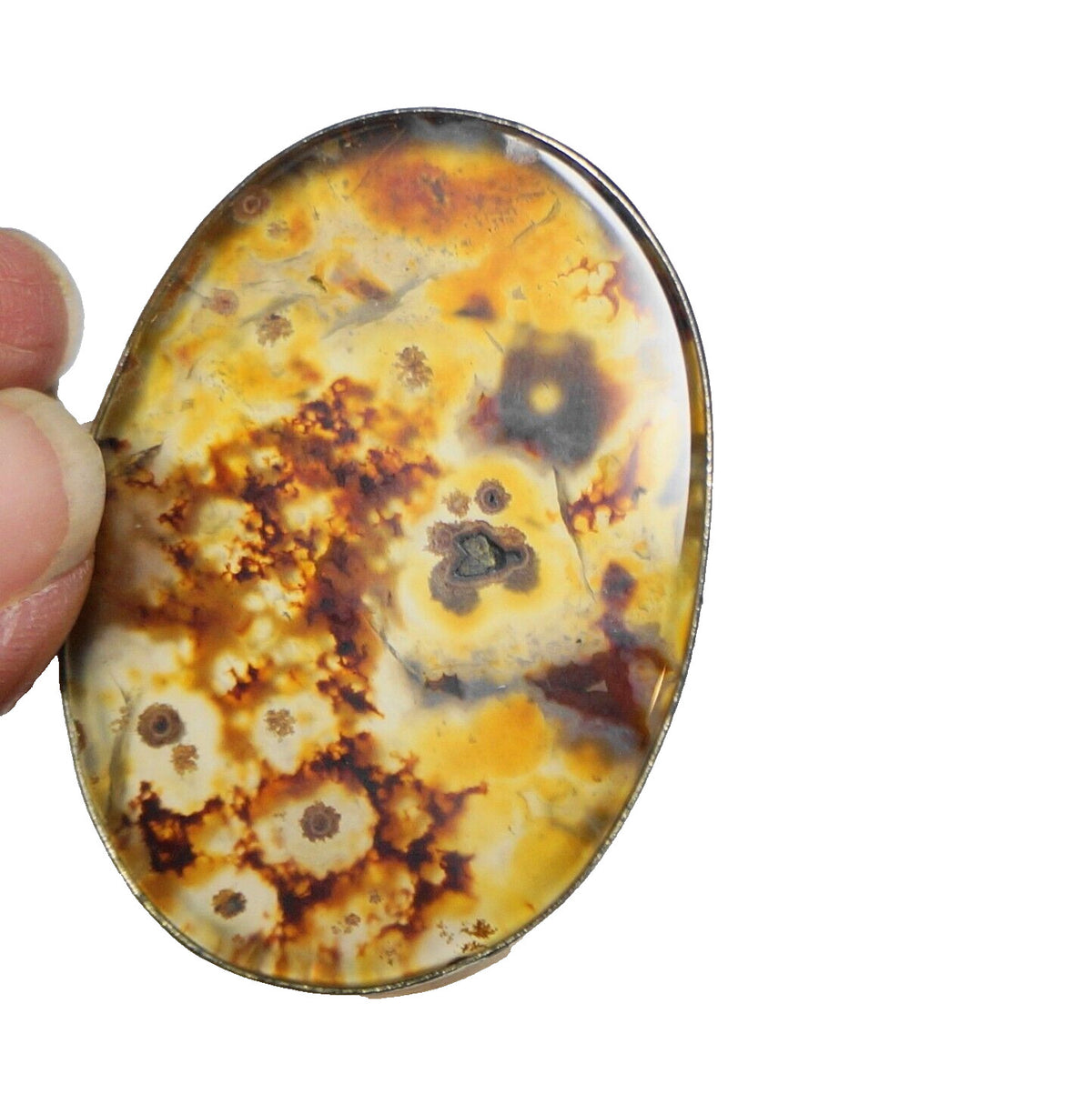 Baltic Amber Oval Pendant 1 3/4" x 1 1/2"