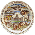 Vernon Kilns Colorado State Souvenir Plate Color Tinted California Pottery