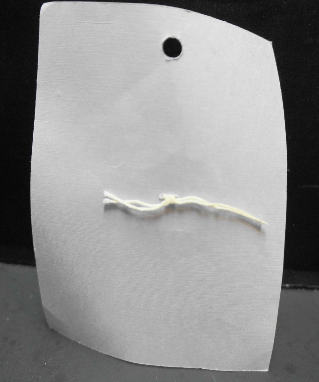 Albe Creations Hand Painted Porcelain School House Button