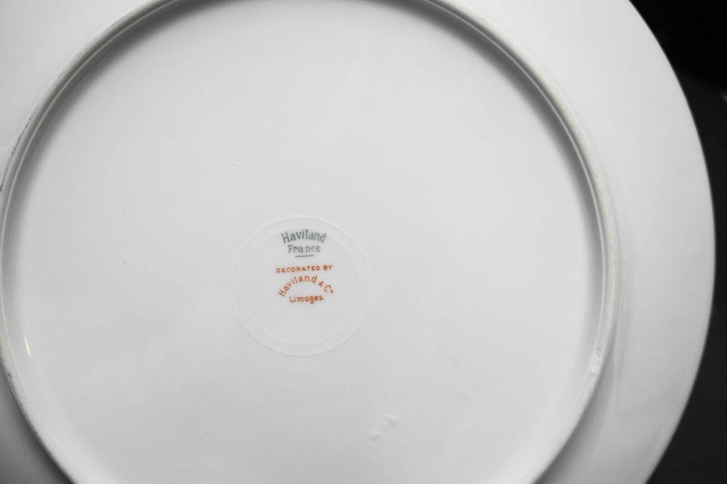 Haviland Notre Dame Limoges Schleiger 770 Dinner Plates Set of 5