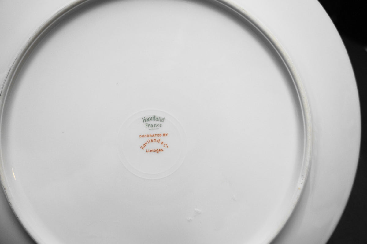 Haviland Notre Dame Limoges Schleiger 770 Dinner Plates Set of 5