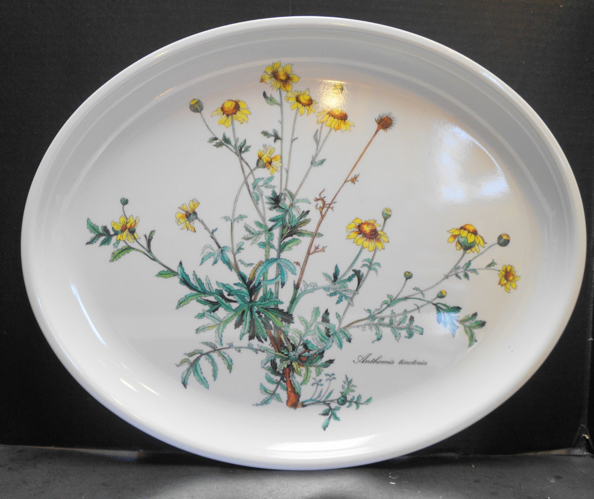 Villeroy and Boch Botanica Melamine Plastic Oval Tray