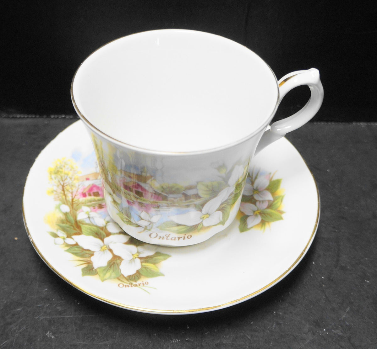 Ontario Souvenir Teacup Saucer Bone China England