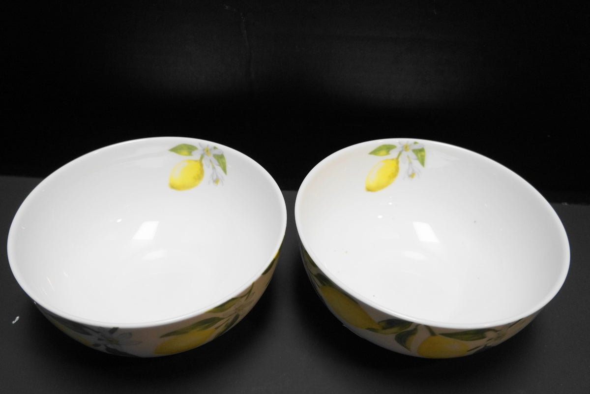 Mikasa Lemons Soup Cereal Bowls Pair