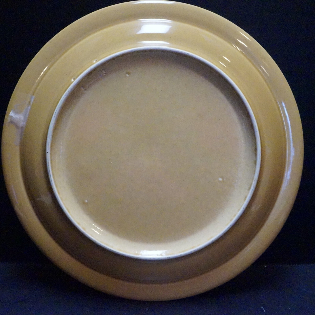 Pfaltzgraff America Bird Butterfly Charger Service Plate MAFA Sponge