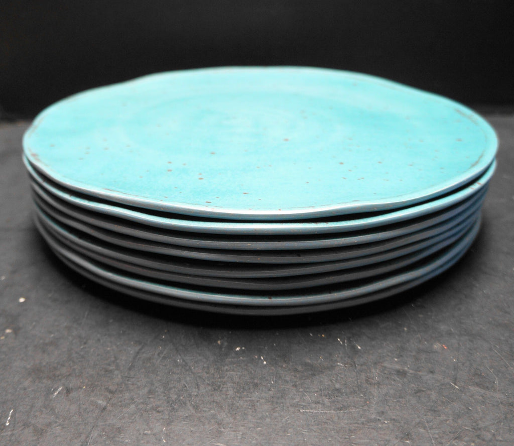 Naturally Danny Seo Dinner Plates Turquoise Speckled Melamine Set of 8