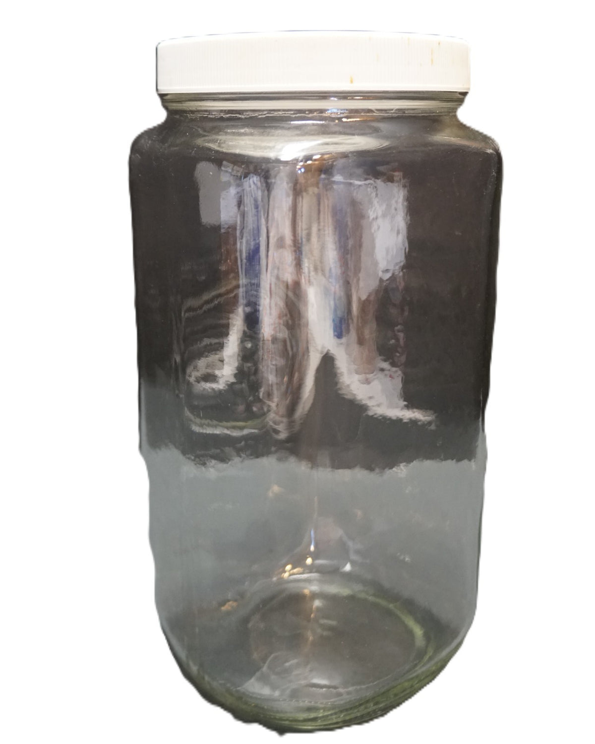 Golden Harvest Clear Glass Canister 2L 2 Qt White Lid 9 IN