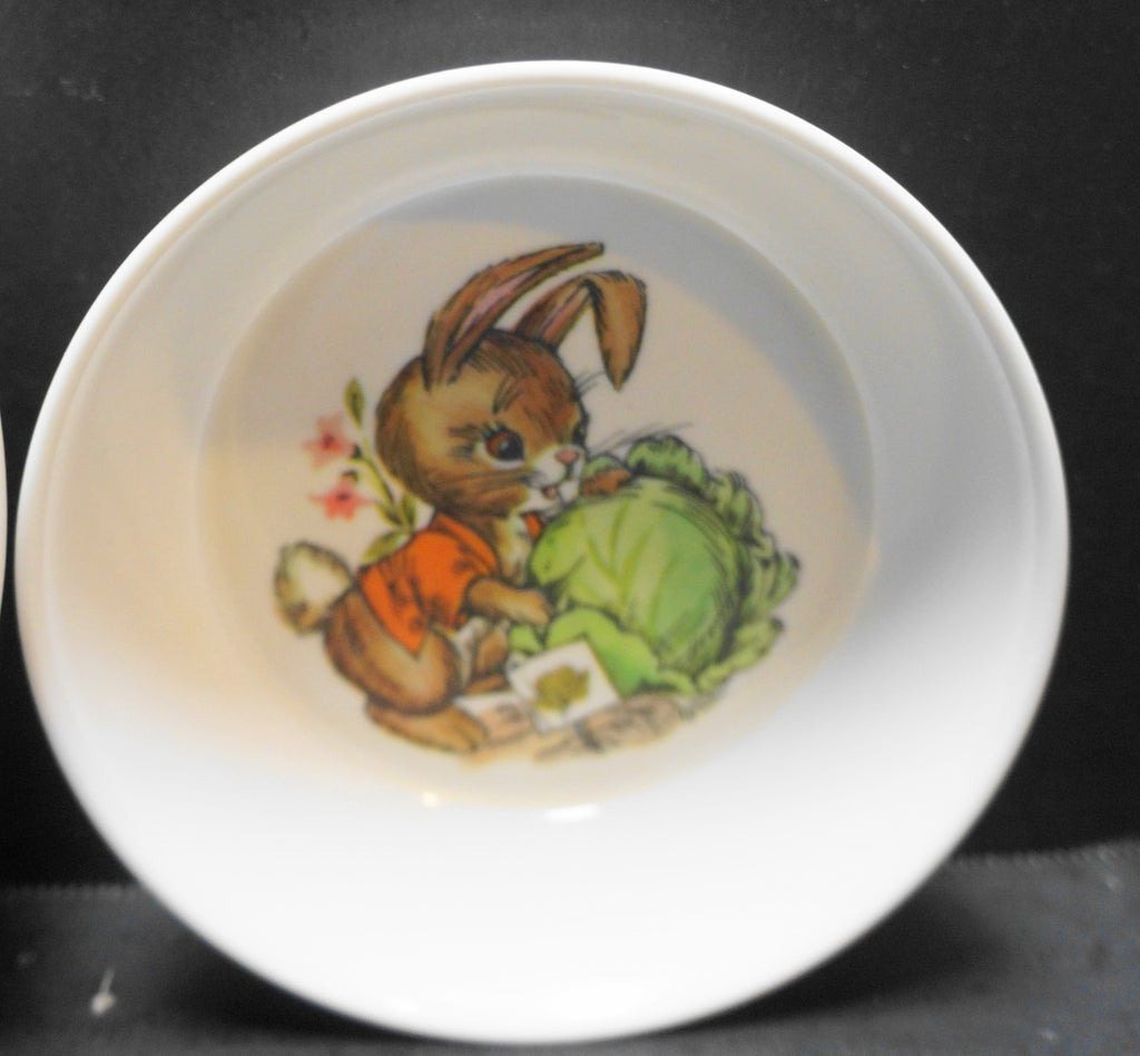 Oneida Ware Peter Rabbit Melamine Plastic Child's Dishes Set Mug Plate Bowls