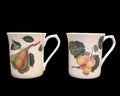Queen's Hookers Fruit Fine China India Mugs Pair