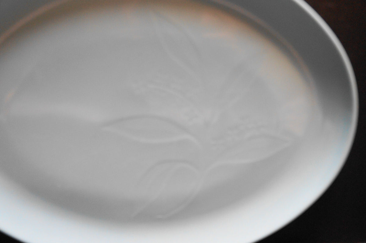 Desert Flower International Melmac Melamine Aqua Turquoise Blue Oval Platter