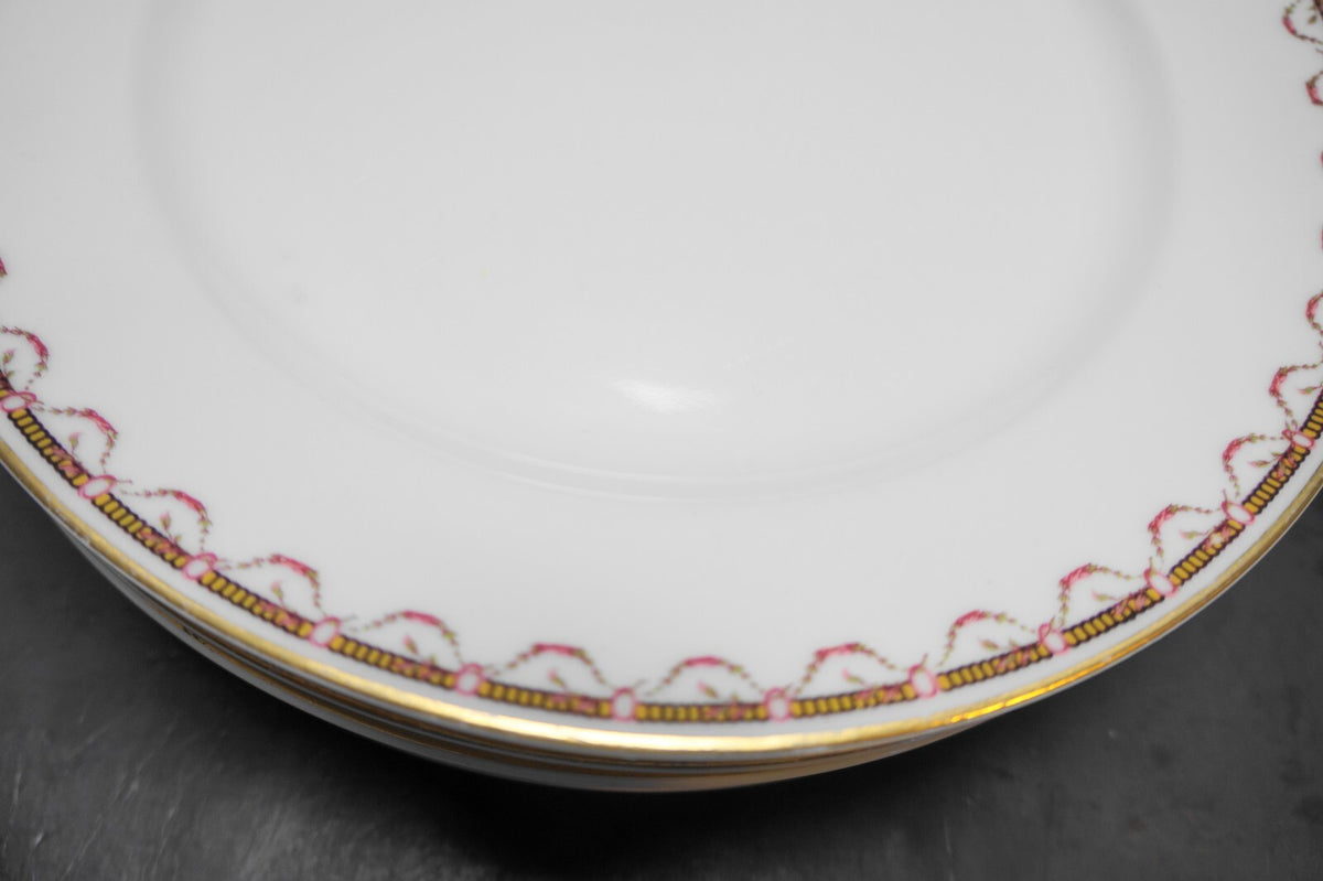 Haviland Notre Dame Limoges Schleiger 770 Dinner Plates Set of 5