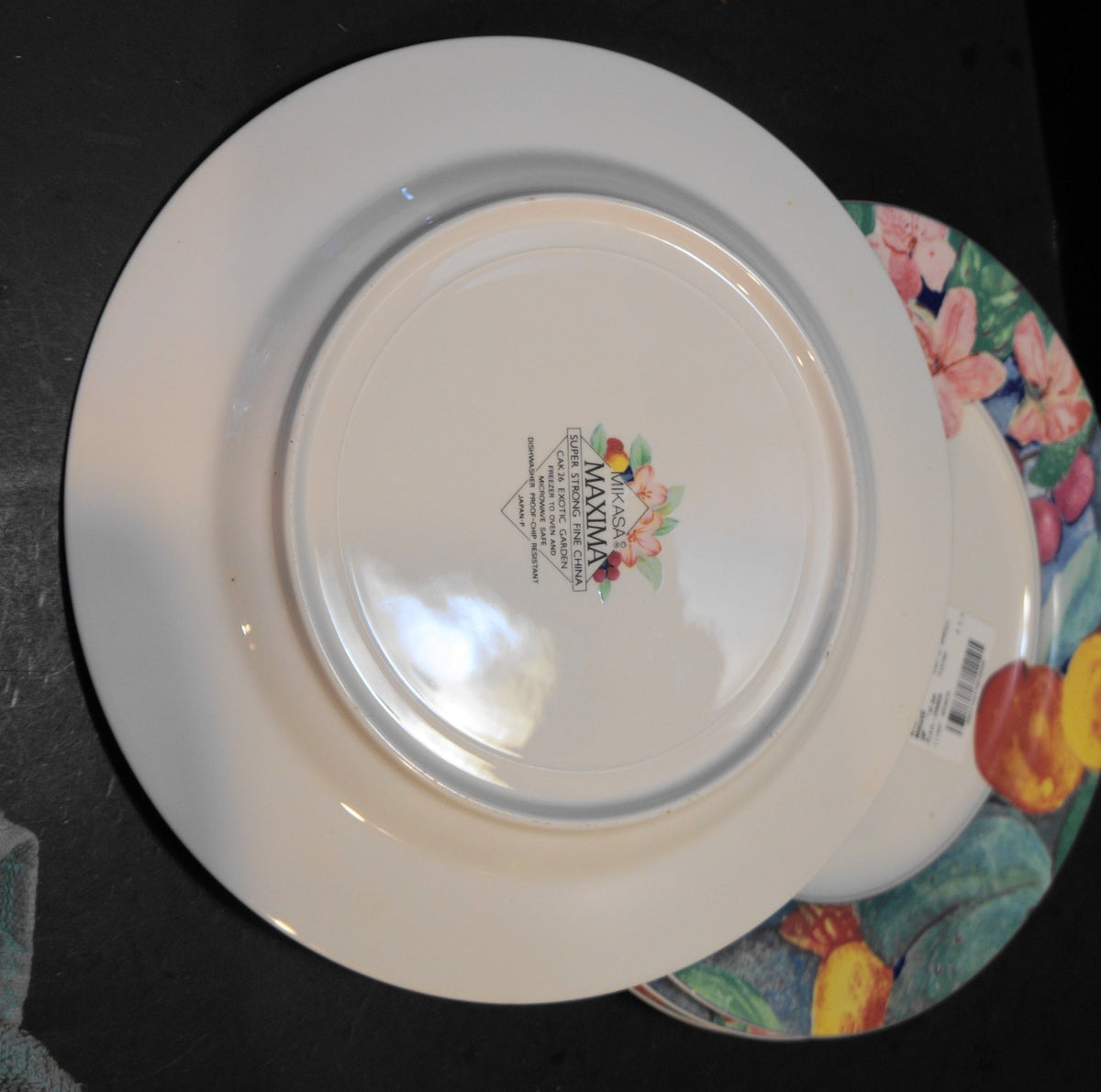 Mikasa Exotic Garden Dinner Plates Set of 4