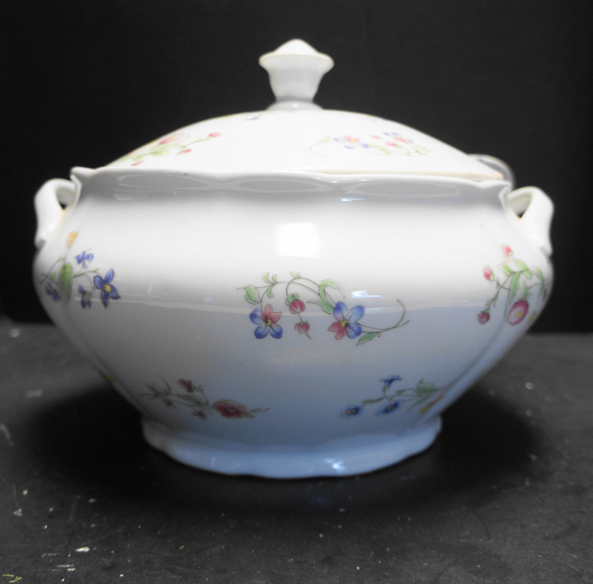 BIA Cordon Bleu Trellis Scalloped Flowers Butterflies Soup Tureen