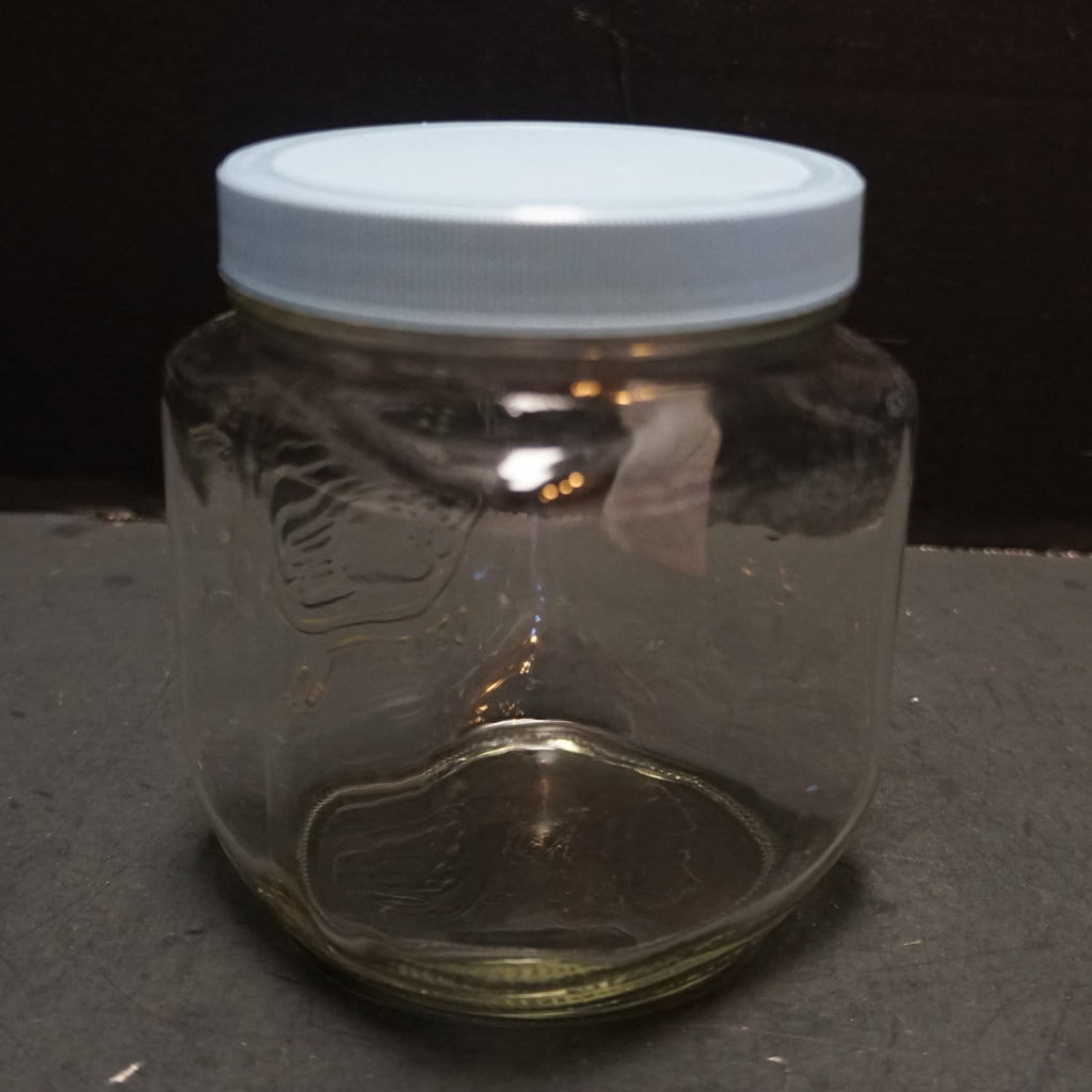 Golden Harvest Short Glass Canister 1L 1 QT Pale Blue Plastic Lid