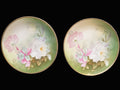 Thomas Bavaria Hand Painted Roses 8" Cabinet Plates Signed Phillips