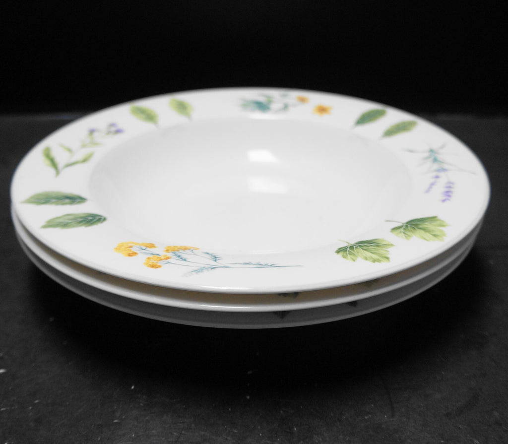 Mikasa Nature's Harmony Rimmed Soup Bowls Set of 3
