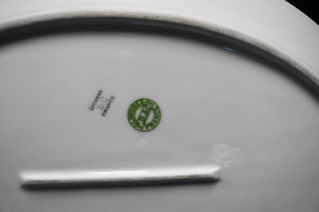 U.C. Limoges FB& CO France Roses Scrolls Border Large Oval Platter