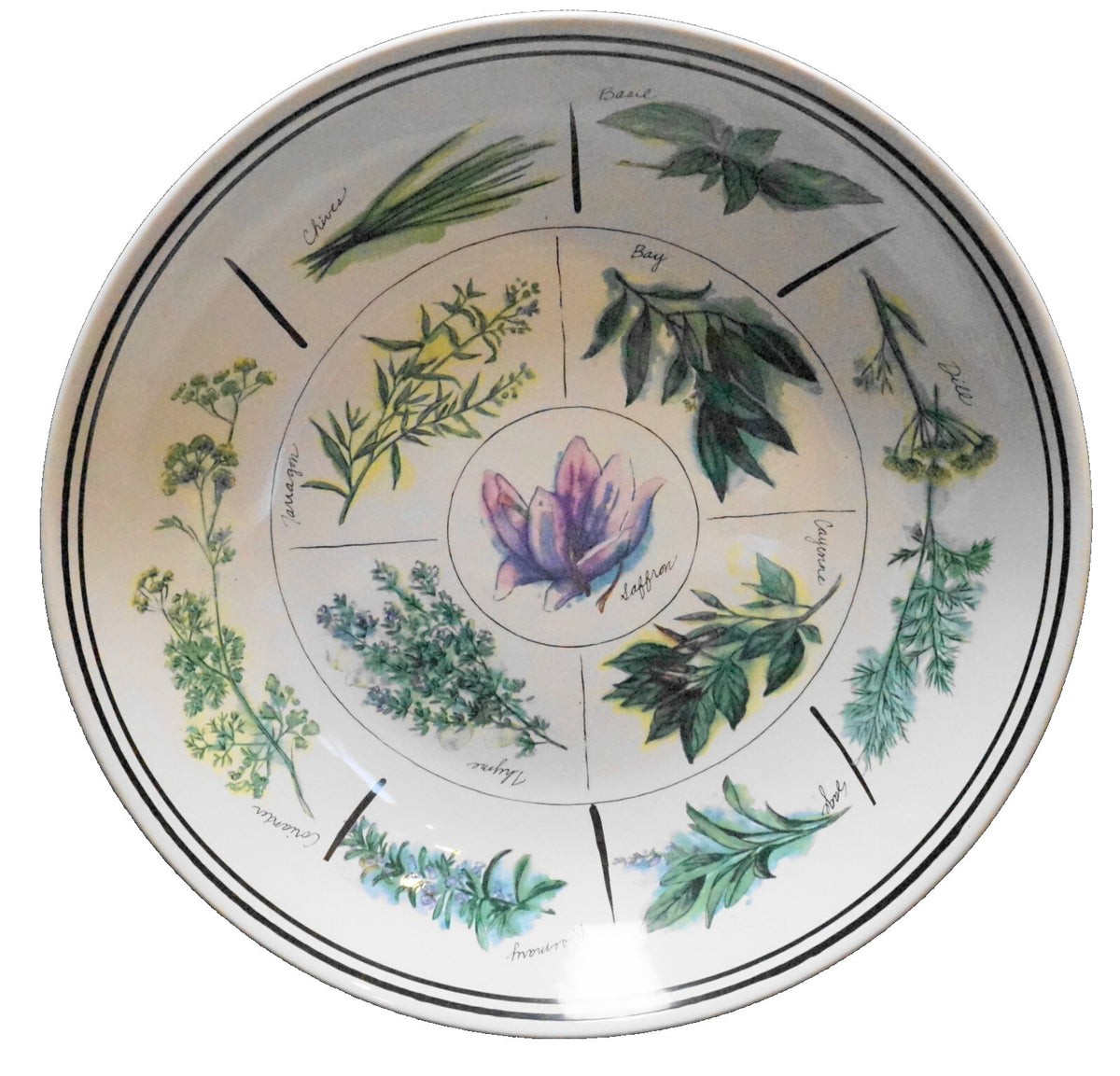 Williams and Sonoma Herb Pattern Pasta Serving Bowl 13 IN Portugal