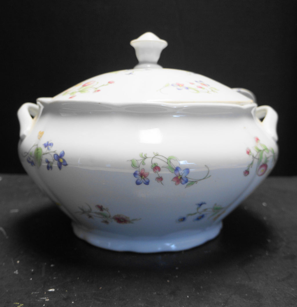 BIA Cordon Bleu Trellis Scalloped Flowers Butterflies Soup Tureen