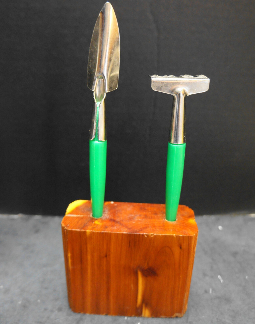 Wisconsin Dells Souvenir House Plant Tools Wood Block