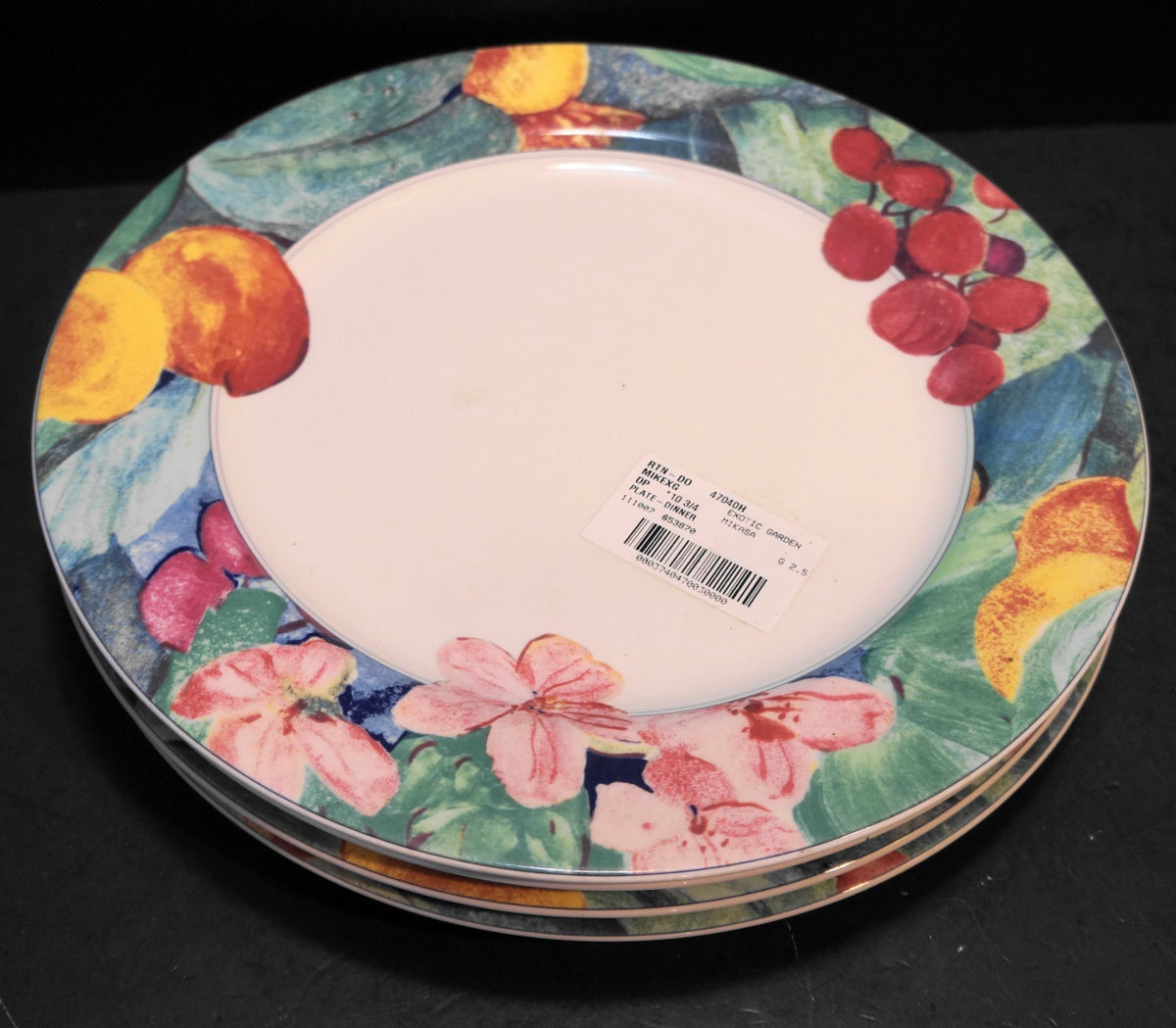 Mikasa Exotic Garden Dinner Plates Set of 4