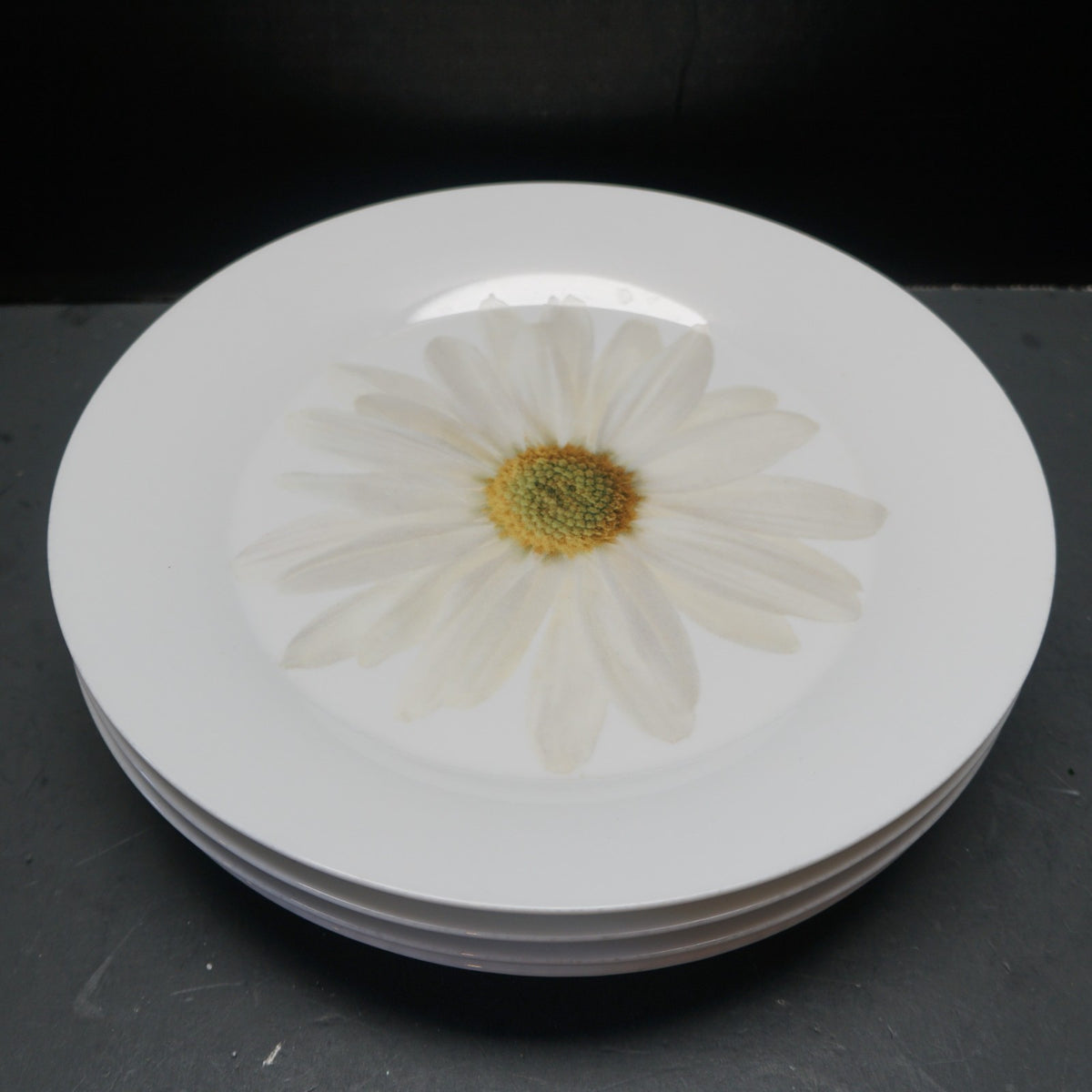 Isaac Mizrahi For Target White Daisy Salad Dessert Plates Set of 4 2005