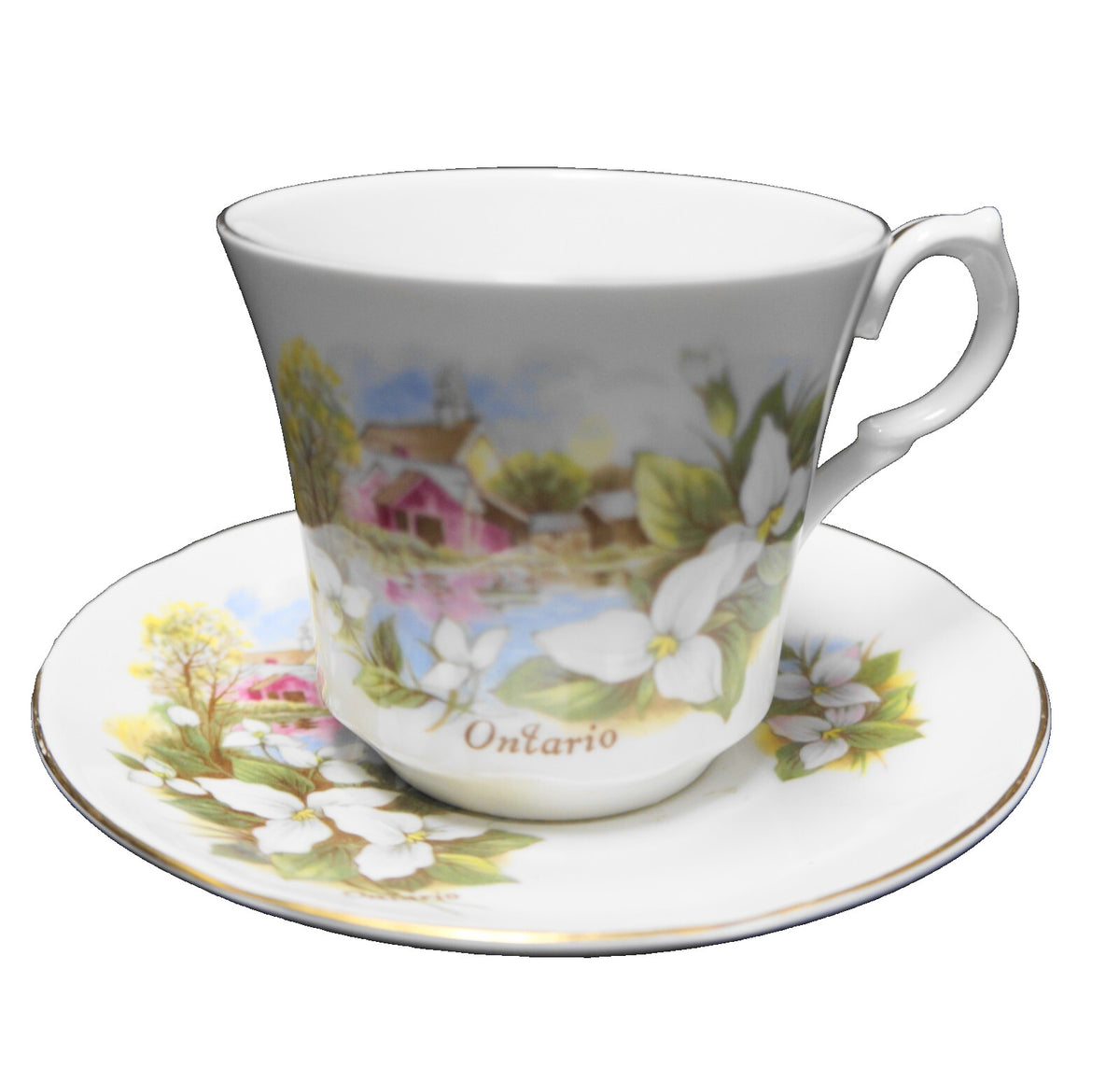 Ontario Souvenir Teacup Saucer Bone China England