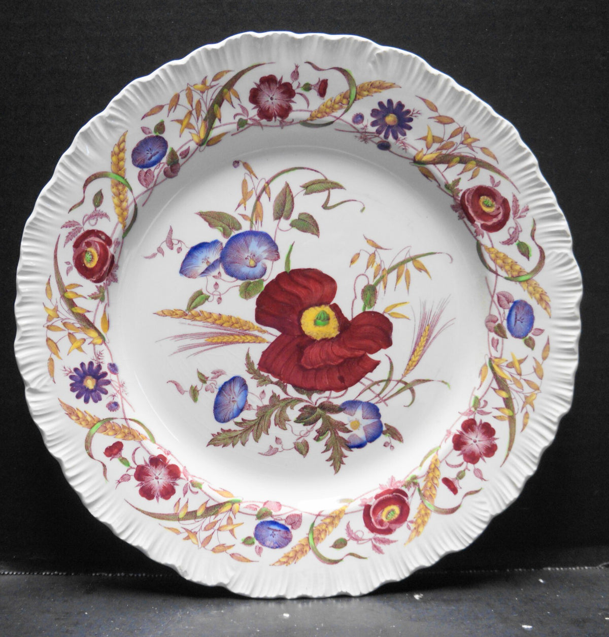 Wedgwood Cornflower Shelledge Dinner Plate