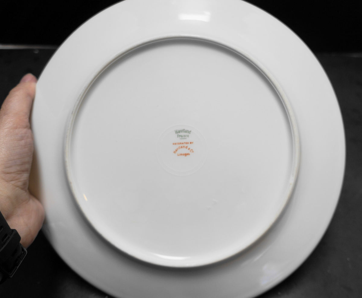 Haviland Notre Dame Limoges Schleiger 770 Dinner Plates Set of 5