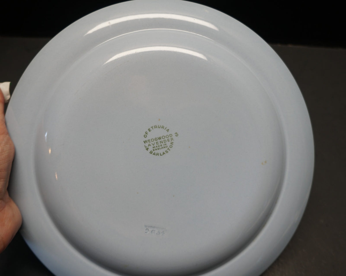 Lavender by Wedgwood Solid Smooth Light Blue Dinner Plates Set of 6