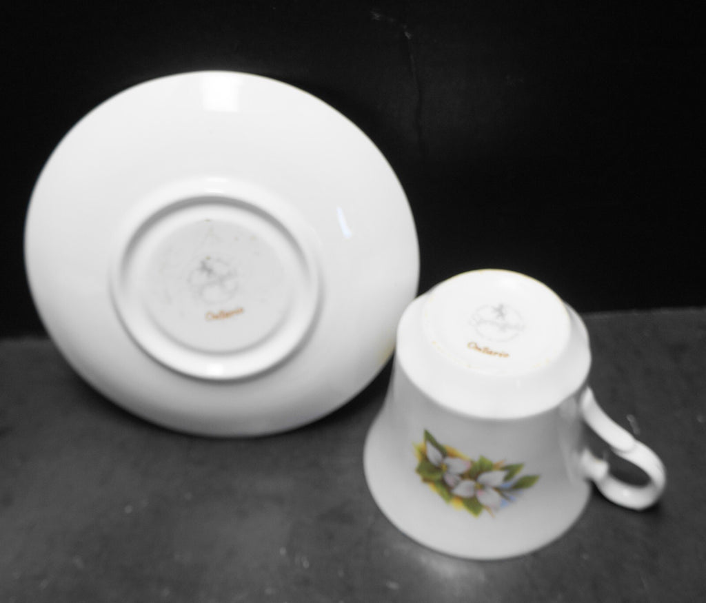 Ontario Souvenir Teacup Saucer Bone China England