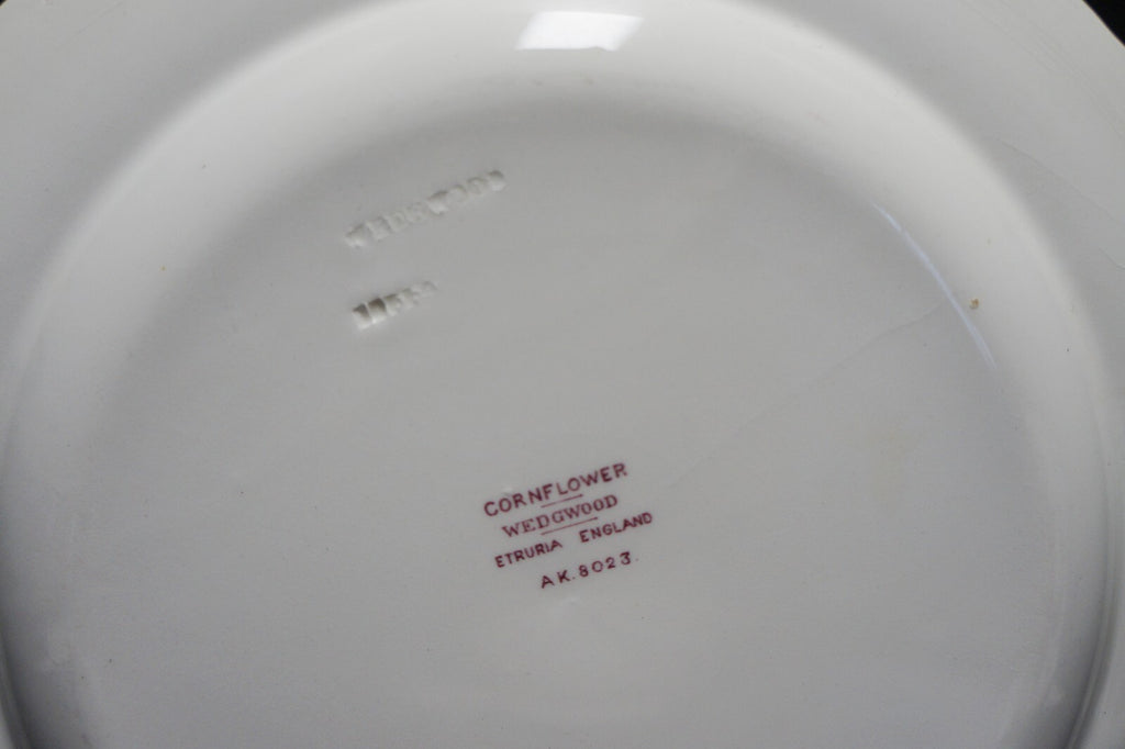 Wedgwood Cornflower Shelledge Dinner Plate