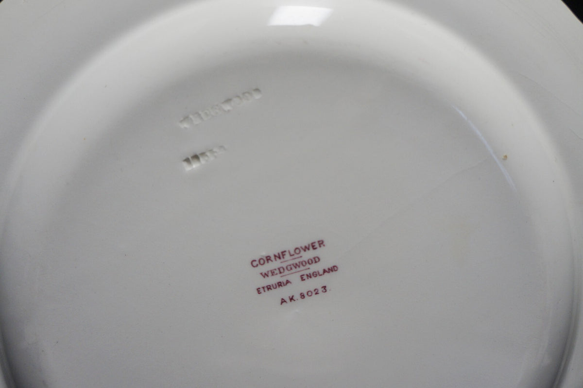 Wedgwood Cornflower Shelledge Dinner Plate