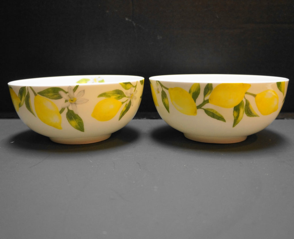 Mikasa Lemons Soup Cereal Bowls Pair