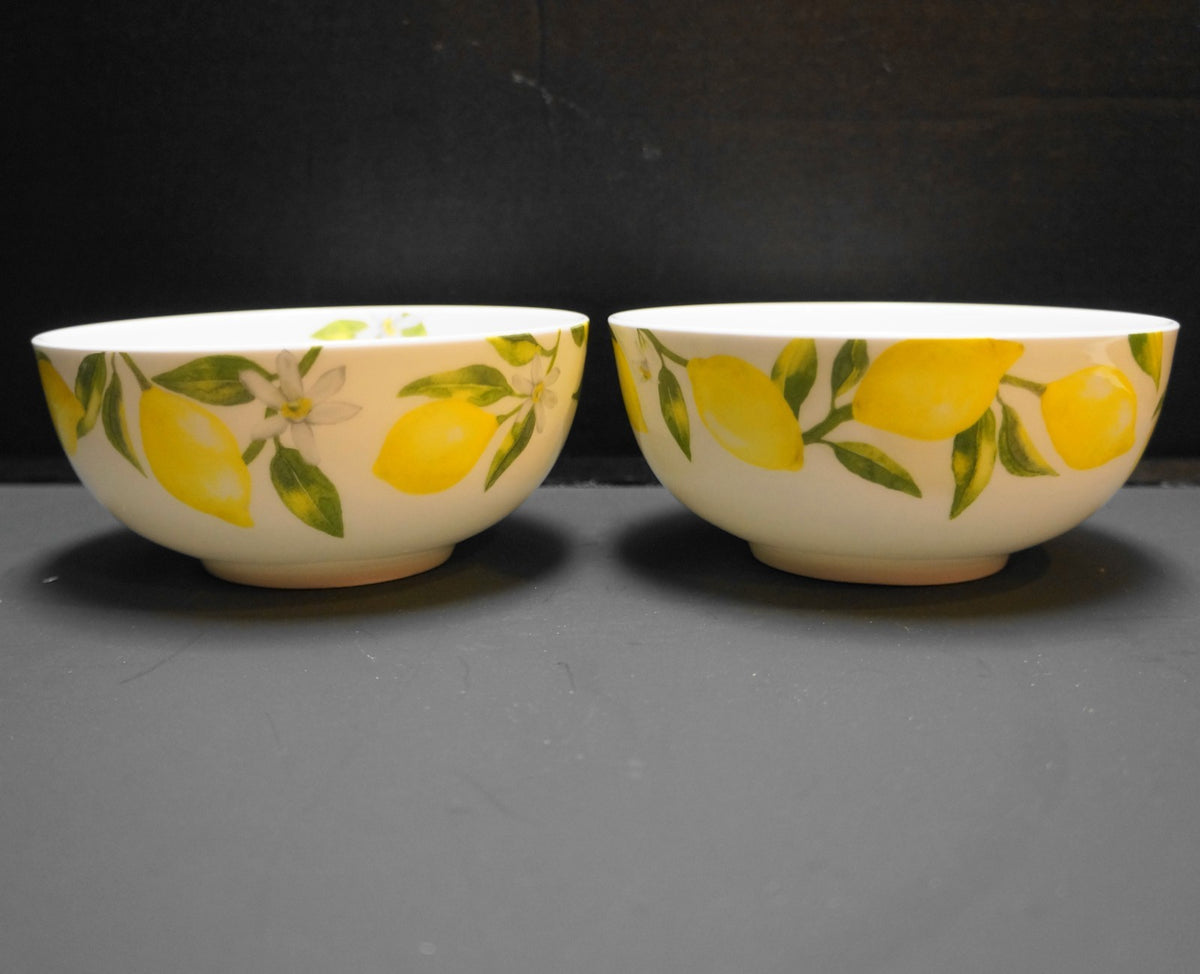 Mikasa Lemons Soup Cereal Bowls Pair