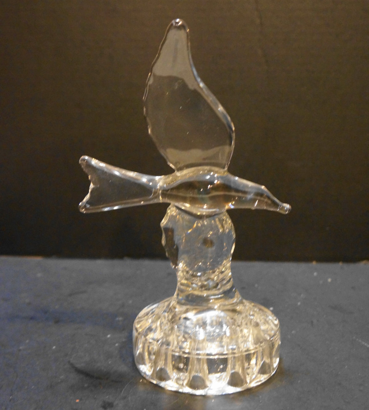 Cambridge Arms Seagull Flower Frog Clear Glass 1940s