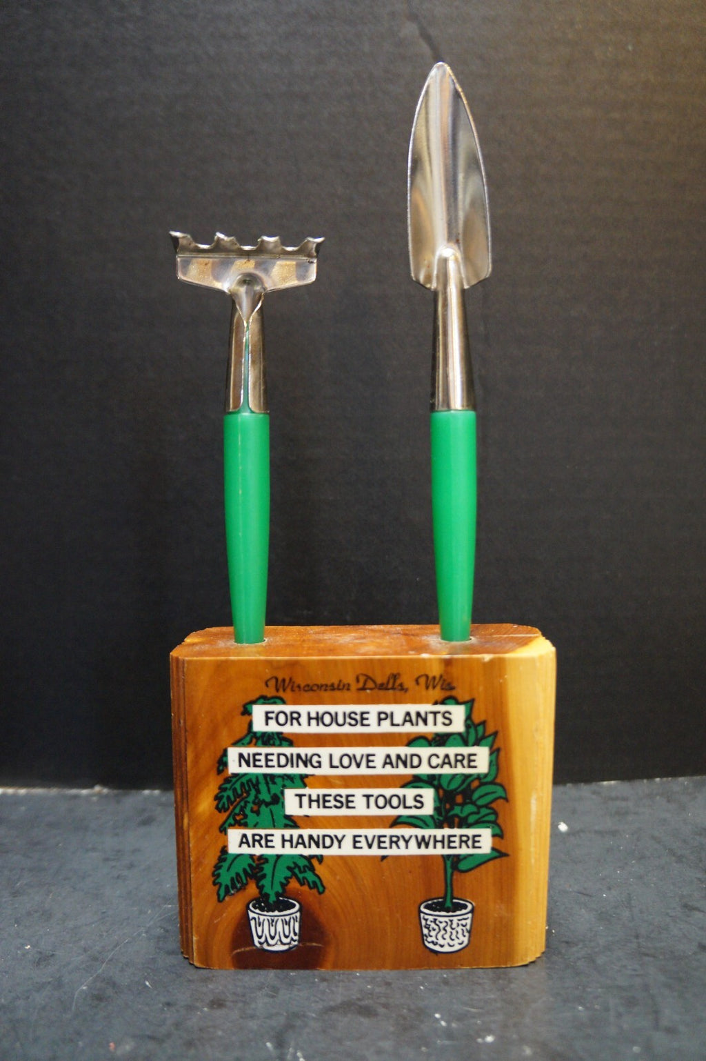 Wisconsin Dells Souvenir House Plant Tools Wood Block