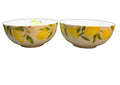 Mikasa Lemons Soup Cereal Bowls Pair