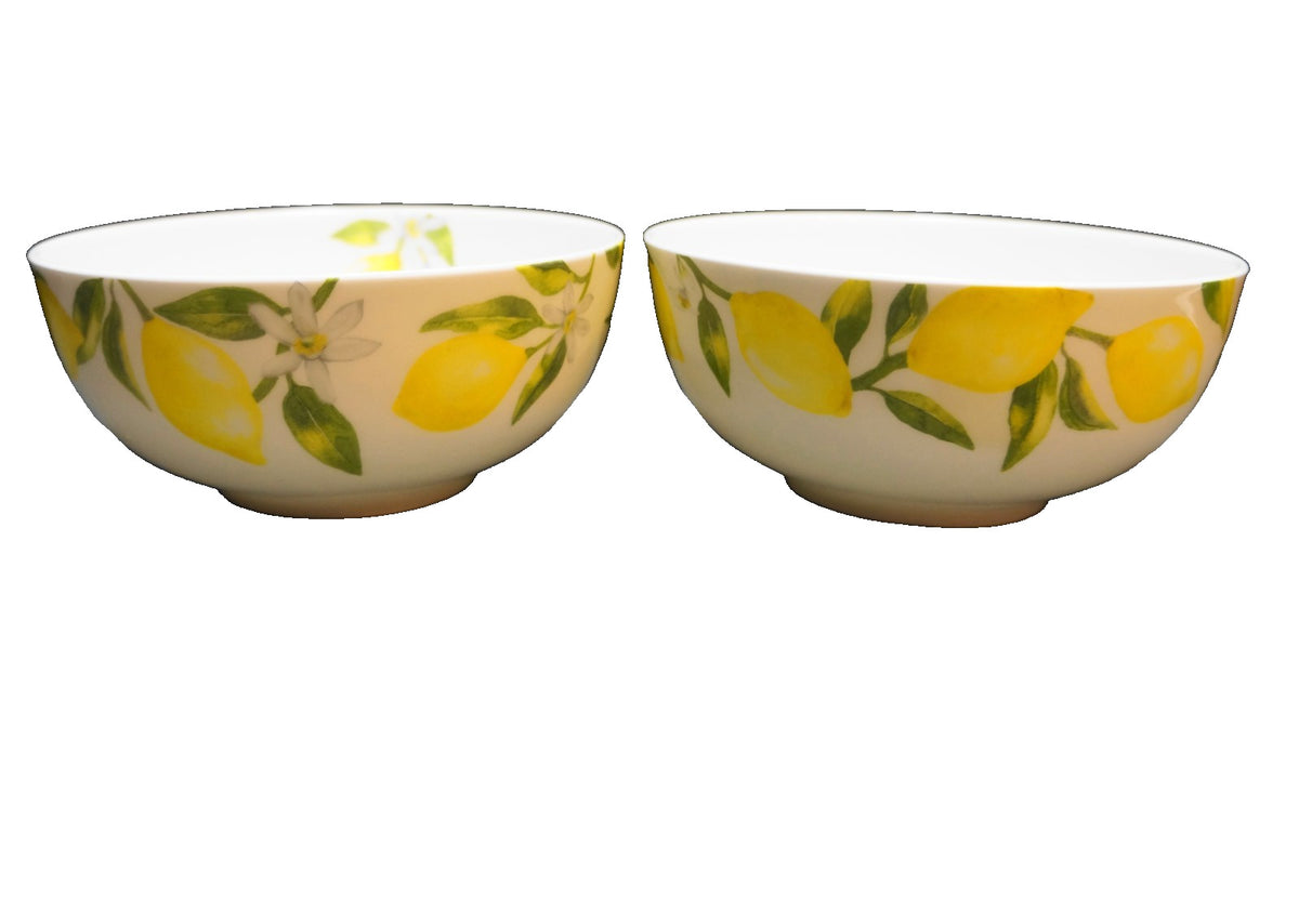 Mikasa Lemons Soup Cereal Bowls Pair