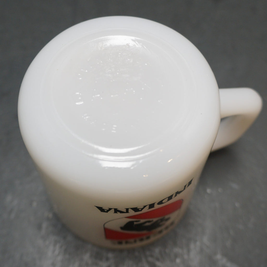 Berne Indiana Souvenir Milk Glass Mug Galaxy