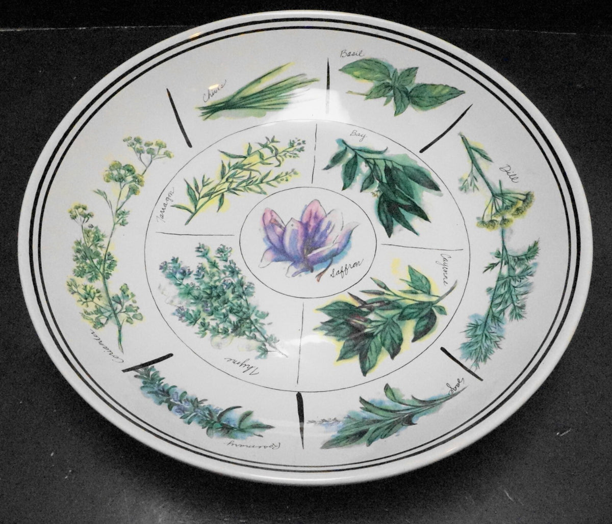 Williams and Sonoma Herb Pattern Pasta Serving Bowl 13 IN Portugal